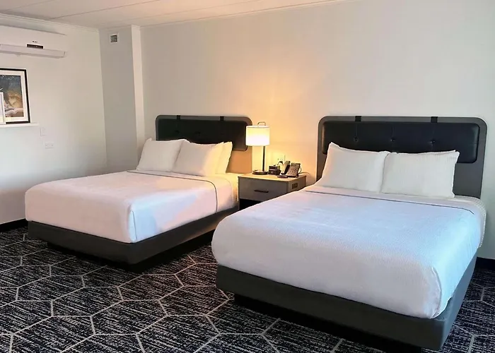 Hotel La Quinta By Wyndham Chicago O'hare Airport