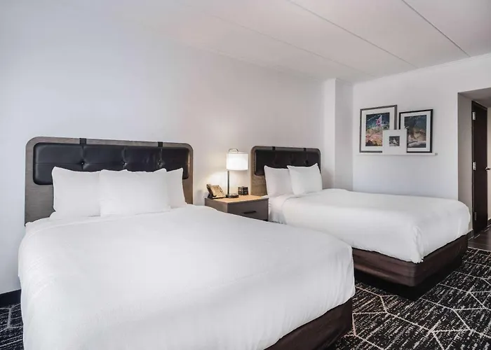 Hotel La Quinta By Wyndham Chicago O'hare Airport