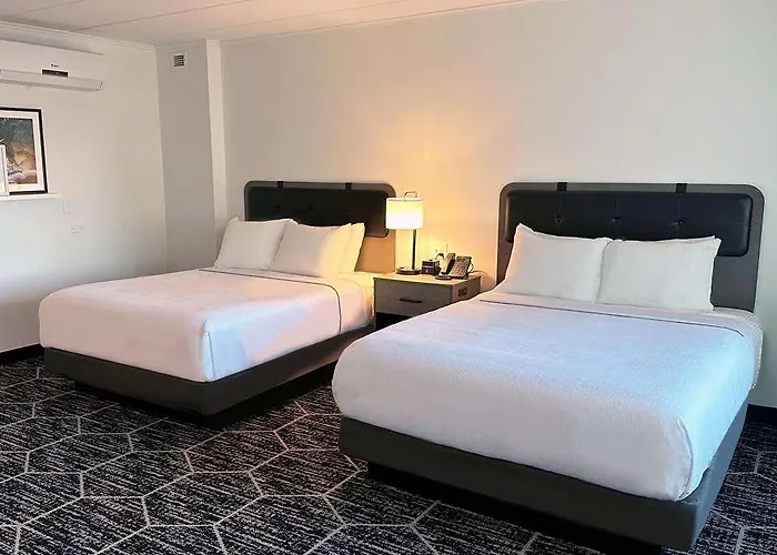 La Quinta By Wyndham Chicago O'hare Airport Hotel Rosemont