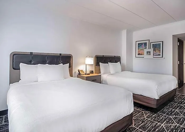 La Quinta By Wyndham Chicago O'hare Airport 3* Rosemont