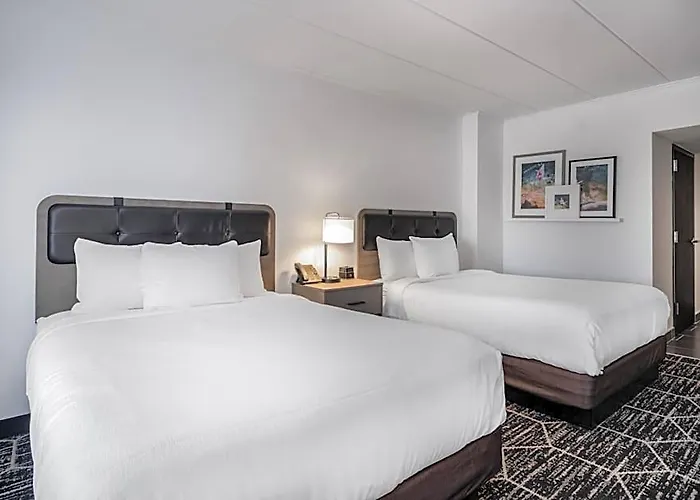 La Quinta By Wyndham Chicago O'hare Airport Hotel