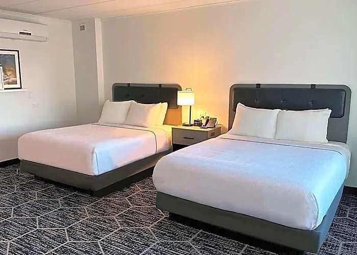 La Quinta By Wyndham Chicago O'hare Airport 3* Rosemont